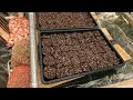 it s getting warmer. i m sowing some seeds. komagawa farm. 25.2.28.