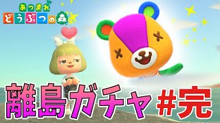 【最終回】 パッチ求めて離島ガチャやる！#完【あつまれどうぶつの森】