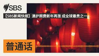 【SBS新闻快报】澳护照费新年再涨 成全球最贵之一 | SBS Mandarin - SBS 普通话电台