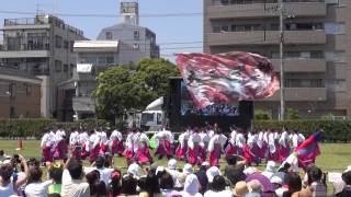 疾風乱舞☆ストリート部門第三位＠2014 　湘南よさこい祭り