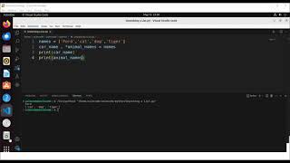 How to Unpack a List in Python