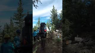 More trail building at Philmont Scout Ranch