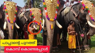 പാപ്പാനെ കൊമ്പിനടിച്ചോ 😱#mundakkal sivanandan /#kerala #elephant #viralvideo kunnathoor ramu