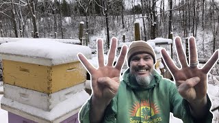 8 Reasons why Your Honeybees Die in the Winter!