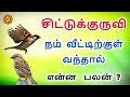 kuruvi veetukul vanthal enna palan குருவி வீட்டுக்குள் வந்தால் என்ன பலன்