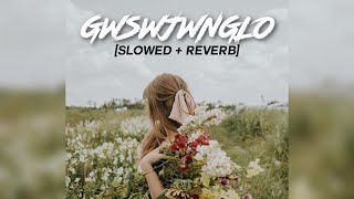 GWSWJWNGLO - [Slowed + Reverb] | Ft. Biraj Mushahary | Bodo Music Video |