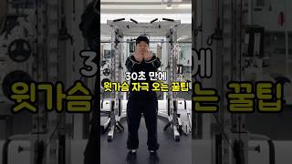 ‼️30초 만에 윗가슴 자극 오는 꿀팁‼️