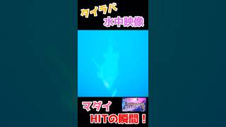 表層でマダイHITの瞬間！ #水中映像  #タイラバ  #鯛ラバ #水中動画  #slj #釣り#マジカーリー #マジカーリーJr #ノッコミ