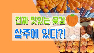 상주곶감 직거래 선물 세트 추천 맛있는 곶감! 황이련곶감!