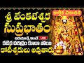 LIVE: శ్రీ వెంకటేశ్వర సుప్రభాతం | Sri Venkatesa Suprabhatam | Karthika Masam 2024 | Ekadasi