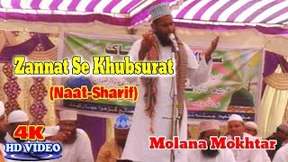 नयी नात शरीफ़- اردو نعت شریف ! ज़न्नत से ख़ूबसूरत ! Molana Mokhtar ! Latest Urdu Naat Sharif New Video