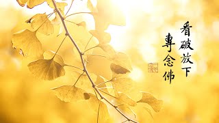 淨空老法師｜大經專修｜ 離煩惱 絕苦患-第1068集