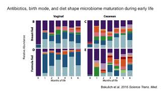 Longitudinal analyses