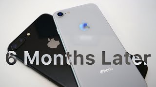 iPhone 8 and 8 Plus - 6 Months Later