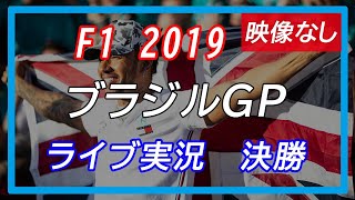 F1 2019 第20戦ブラジルGP 決勝 ライブ実況