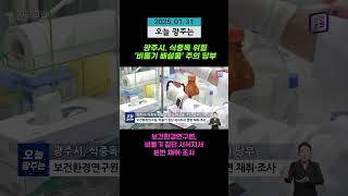 광주시, 식중독 위험 ‘비둘기 배설물’ 주의 당부