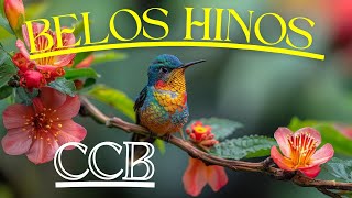 LINDÍSSIMOS HINOS CCB!!!