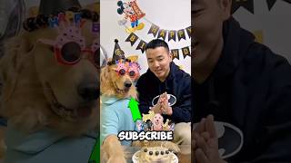 Adam gave Luna a special surprise 🫢🎂 Most watch || #shorts #usa #luna