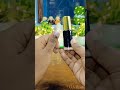 DIY Fake Nail 💅 in Empty tubes #shorts #viral #trending