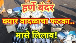 क्यार चक्रीवादळ  रत्नागिरी | kyar Cyclone Dapoli | हर्णे बंदर मासळी बाजार