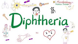 Diphtheria (Pseudomembranous pharyngitis, Myocarditis, Neuropathy) | Microbiology 🧫