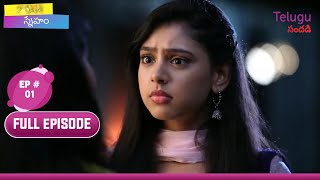 Sneham | స్నేహం | Ep. 1 | Nandini's New Beginning | నందిని కొత్త ప్రయాణం