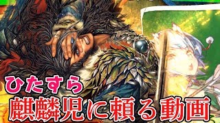 【三国志大戦】弱体した寡兵の麒麟児の姜維に頼り続けた結果【Ver.2.1.0C】