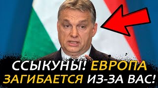 ЭТО БЫЛО СМЕЛО! Орбан КАТКОМ ПРОЕХАЛСЯ по Европейским Политикам! Почему ЕС так Боится Трампа?!