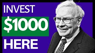 How can I invest 1000 dollars for a quick return?- Stock market