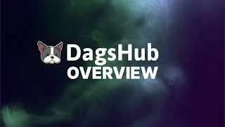 DagsHub Overview