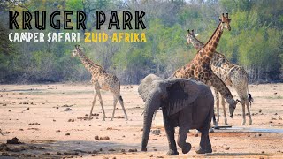 KRUGER PARK Camper Safari in ZUID-AFRIKA - HD Travel Vlog