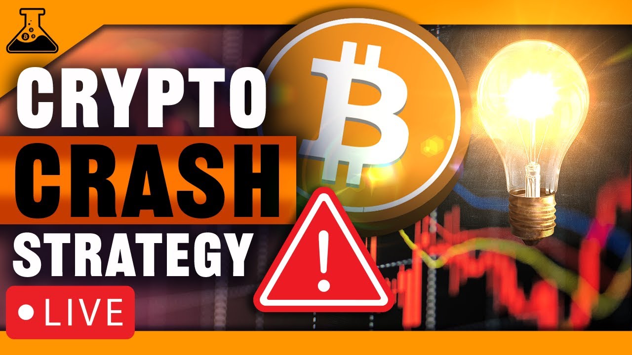 Bitcoin & Crypto Crash Strategy (What To Do If The Market Crashes ...