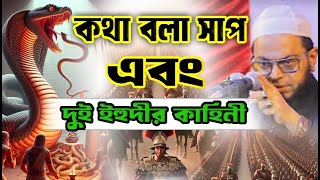 কথা বলা সাপ এবং দুই ইহুদীর কাহিনী     মুফতি নাসির উদ্দিন আনসারী।Mufti Nasir Uddin Ansari Waz 2025