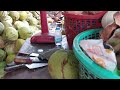 over 1000 coconuts cut by these guys a day amazing coconut cutting skills cambodia street food