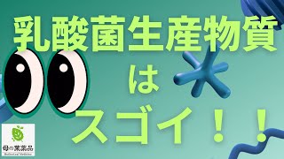 『母の葉薬品』腸活にはこれ！！乳酸菌生産物質！配合の善玉菌プレミアムダイエット！