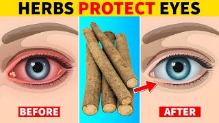 Top 6 Herbs That Protect Eyes and Repair Vision