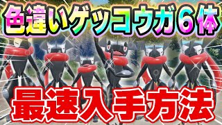 海外メタモンは使わない！1番簡単に効率よく色違いゲッコウガをゲットする方法！【ポケモンSV】【最強ゲッコウガ】【色違いゲッコウガ】【孵化厳選】【色違いゲッコウガ入手方法】【色違いゲッコウガ配布】