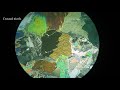 광물 각섬석 박편 관찰하기 amphibole in thin section