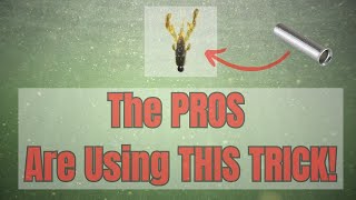 20 Soft Plastic HACKS That EVERY Angler Should Know in 2026!