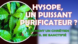 L'HYSOPE, VERTUS SPIRITUELLES OU THERAPEUTIQUES / APÔTRE CHRISTIAN-DAVID KUESSAN DU TOGO