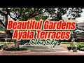 Beautiful Gardens Ayala Terraces