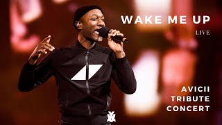 WAKE ME UP LIVE feat. Aloe Blacc - Avicii Tribute Concert: In Loving Memory of T