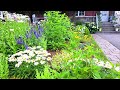 Summer Perennial Garden Tour Of our Small Front yard #gardentour #garden #gardening #new #relaxing