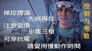 [地平線：期待黎明-DLC] (新遊戲+極難) 控制力考驗豔陽通關紀錄，裝備分享