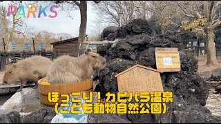 Webマガジン PARKS2\u00263月号 冬こそ行きたい ほっこり動物園