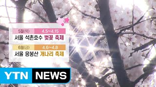 봄꽃 축제 개막...봄비·꽃샘추위 주의보 / YTN