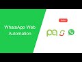 WhatsApp Web Automation Setup Guide Picky Assist