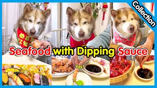 FuGui enjoys seafood with dipping sauce！【我是富贵】