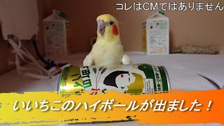 いいちこのハイボールが出ました！