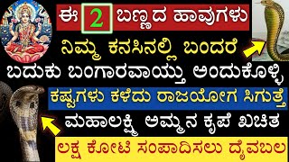 ಕನಸಿನಲ್ಲಿ ಹಾವು ಹೀಗೆ ಕಾಣಿಸಿಕೊಂಡರೆ ಬದುಕು ಬದಲಾಗುತ್ತೆ ಈ ಬಣ್ಣದ ಉರಗದಿಂದ ದೈವಬಲ ಮಹಾಲಕ್ಷ್ಮಿ ಕೃಪೆ ಪ್ರಾಪ್ತಿ